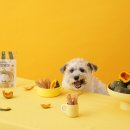 (주)다정한마켓 이미지