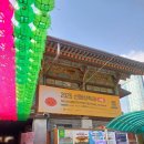 삼성메디슨(주) | 2026 선명상축제 참가, 삼성동 봉은사 구경한 후기