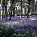 해찬솔길 이미지