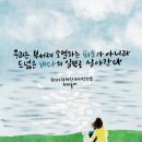 캘리모리