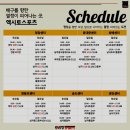 엑시토 | 서울 배구학원ㅣ엑시토 배구아카데미 청담센터, 성인 배구 후기