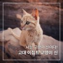 고양이의 역사와 기원, 고대 이집트에서 신이 된 이유