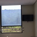 화성초록병원 이미지