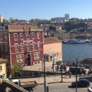 DE049 | [포르투] 에그타르트 맛집 총 정리, 구글 링크 첨부 | 인생 에그타르트를 만나다 ✨