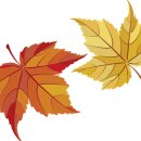 운동가짐 별내점 이미지