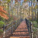 입곡군립공원(주차장옆) | 경남 단풍명소 추천, 함안 입곡군립공원(with 온새미로공원)