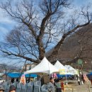 영등제2공원 이미지