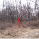 내곡동516 이미지