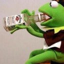 달빛 아리수 이미지