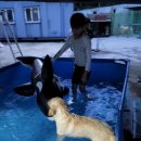 휴먼앤독 이미지