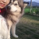 조은사료 이미지