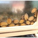청운회식당