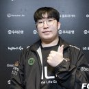 팀딜라이트