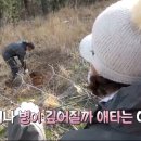 장정숙농장 티스토리