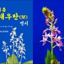 신안센터-17 이미지