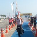 [크리오로지] 제4회 전라남도지사배 여수트라이애슬론 대회에 가다!!