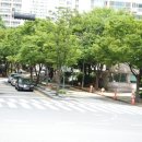 엘지빌리지공인중개사사무소 이미지