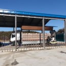 충청계란