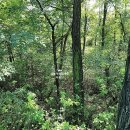 성복스퀘어공인중개사사무소 이미지