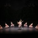 대구경북발레페스티벌 이미지