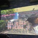 워넥스 | 드디어 도쿄돔 가다 (260220-260224):: 라이즈 도쿄돔 콘서트 라이징라우드 스페셜에디션