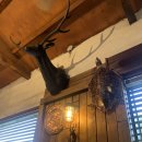 영숙목장 이미지