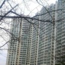 북구-11(금곡대로) 이미지