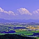 용화축산 이미지