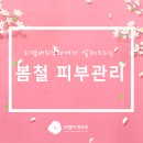 리멤버피부과강서 이미지