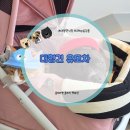 펫이좋아 | 대형견 유모차 추천, 29kg 닐이와 타본 폼포라펫 클래식 펫웨건 후기