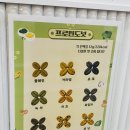창동힐링점핑