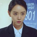 상사의숲 이미지