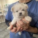 전주상업정보고등학교 이미지