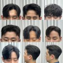마이트로포 - 31821 | 마이트로포