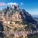 마시야 이미지