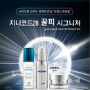 시그니처지니