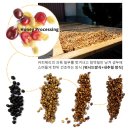 허니커피 이미지