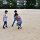 남양열린운동장 축구장 이미지