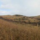 은수상회 이미지