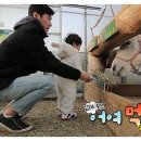 승재농장 이미지