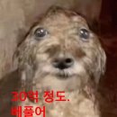 낭낭 | [청주] 산남동 두바이 쫀득쿠키, 두바이 디저트 맛집 카페낭낭 내돈내산 후기