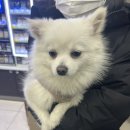 모텔오즈의마법사 이미지