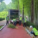 대나무랜드 이미지