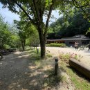 삼척활기자연휴양림 이미지