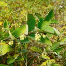 보련농장 | 캐나다 여행 후기 9