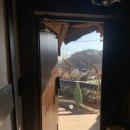 거멍곶낭 이미지