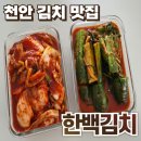 한백 | 불당동 김치 맛집 한백김치 천안점 솔직후기 :: 보쌈김치 오이소박이