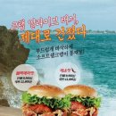 버거브이 이미지