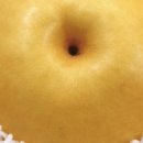 수미떡방앗간 이미지