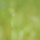 상동호수공원 이미지